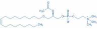 Dehydro-PAF (C18), 1-O-Oleyl-2-O-acetyl-sn-glycero-3-phosphocholine
