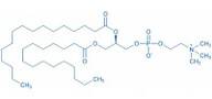 1,2-Dipalmitoyl-sn-glycero-3-phosphocholine