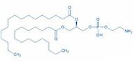 1,2-Dipalmitoyl-sn-glycero-3-phosphoethanolamine