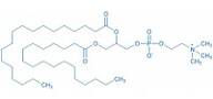 1,2-Distearoyl-rac-glycero-3-phosphocholine