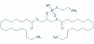 1,3-Dipalmitoyl-glycero-2-phosphoethanolamine
