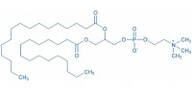 1,2-Dipalmitoyl-rac-glycero-3-phosphocholine