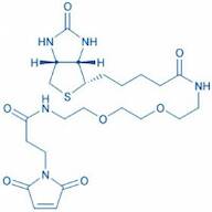 Biotinyl-PEG2-maleimide