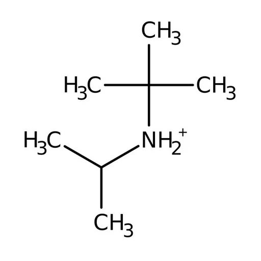 N-tert-Butylisopropylamine, 98%