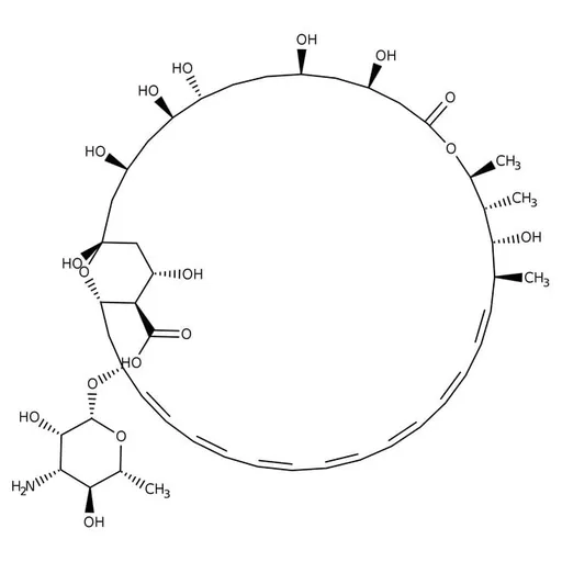 Amphotericin B, Streptomyces nodosus