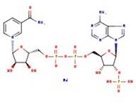 beta-Nicotinamide adenine dinucleotide phosphate monosodium salt