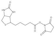 (+)-Biotin N-succinimidyl ester