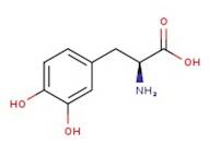 3,4-Dihydroxy-L-phenylalanine, 98+%
