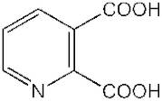 Pyridine-2,3-dicarboxylic acid, 99%, Thermo Scientific Chemicals