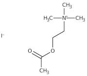 Acetylcholine iodide, 98%
