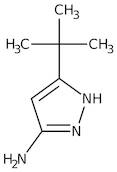 3-Amino-5-tert-butyl-1H-pyrazole, 98%