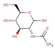 N-Acetyl-D-glucosamine, 98+%