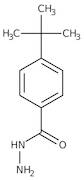 4-tert-Butylbenzhydrazide, 98+%