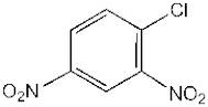 1-Chloro-2,4-dinitrobenzene, 98%, Thermo Scientific Chemicals