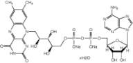 Flavin adenine dinucleotide disodium salt hydrate, 94% (dry wt.), water <10%