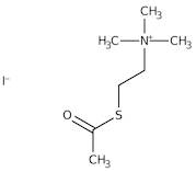 S-Acetylthiocholine iodide, 98%