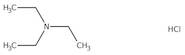 Triethylamine hydrochloride, 98%, Thermo Scientific Chemicals