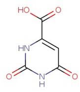 Orotic acid hydrate, 98%