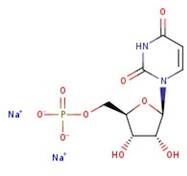 Uridine-5'-monophosphate disodium salt