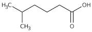 5-Methylhexanoic acid, 98%, Thermo Scientific Chemicals