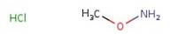 Methoxylamine hydrochloride, 98+%