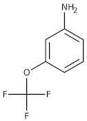 3-(Trifluoromethoxy)aniline, 98%, Thermo Scientific Chemicals