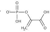 Phosphoenolpyruvic acid monopotassium salt, 99%