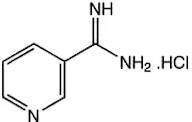3-Amidinopyridine hydrochloride, 97%, Thermo Scientific Chemicals
