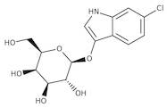 6-Chloro-3-indolyl-beta-D-galactopyranoside, 98%, Thermo Scientific Chemicals