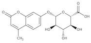 4-Methylumbelliferyl-beta-D-glucuronide, 98%, Thermo Scientific Chemicals