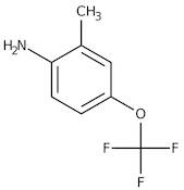 2-Methyl-4-(trifluoromethoxy)aniline, 97+%