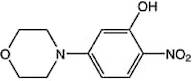 5-(4-Morpholinyl)-2-nitrophenol, 97%