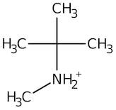 N-tert-Butylmethylamine, 97%