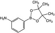 3-Aminobenzeneboronic acid pinacol ester, 97%