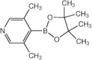 3,5-Dimethylpyridine-4-boronic acid pinacol ester, 95%, Thermo Scientific Chemicals