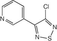 3-Chloro-4-(3-pyridyl)-1,2,5-thiadiazole, 95%