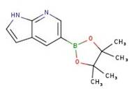 7-Azaindole-5-boronic acid pinacol ester, 97%