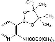 2-(Boc-amino)pyridine-3-boronic acid pinacol ester, 98%
