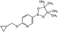 6-(Cyclopropylmethoxy)pyridine-3-boronic acid pinacol ester, 97%