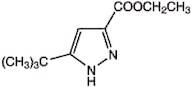 Ethyl 3-tert-butyl-1H-pyrazole-5-carboxylate, 97%