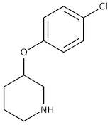 3-(4-Chlorophenoxy)piperidine, 97%