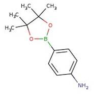 4-Aminobenzeneboronic acid pinacol ester, 98%, Thermo Scientific Chemicals