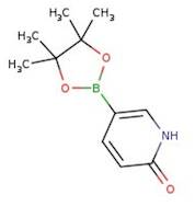 6-Hydroxypyridine-3-boronic acid pinacol ester, 97%