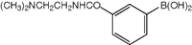 3-[2-(Dimethylamino)ethylcarbamoyl]benzeneboronic acid, 96%