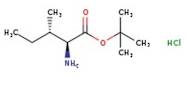 L-Isoleucine tert-butyl ester hydrochloride, 98%