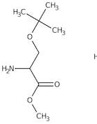 O-tert-Butyl-L-serine methyl ester hydrochloride, 98%, Thermo Scientific Chemicals