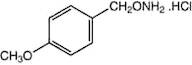 O-(4-Methoxybenzyl)hydroxylamine hydrochloride, 98%