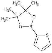 Thiophene-2-boronic acid pinacol ester, 98%