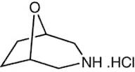 8-Oxa-3-azabicyclo[3.2.1]octane hydrochloride, 97%
