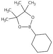 Cyclohexylboronic acid pinacol ester, 97%
